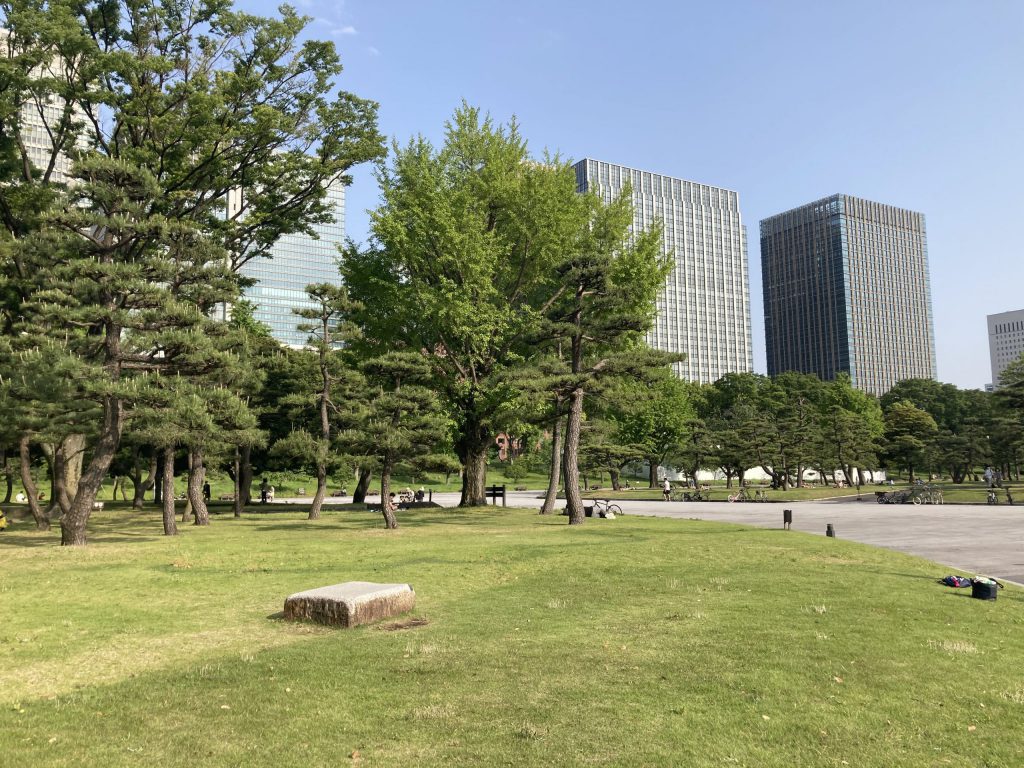 Tokyo Park Glass Picnic まいコレ３８ブログ